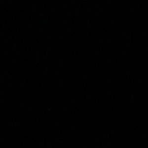 Meet your Posher, Harley